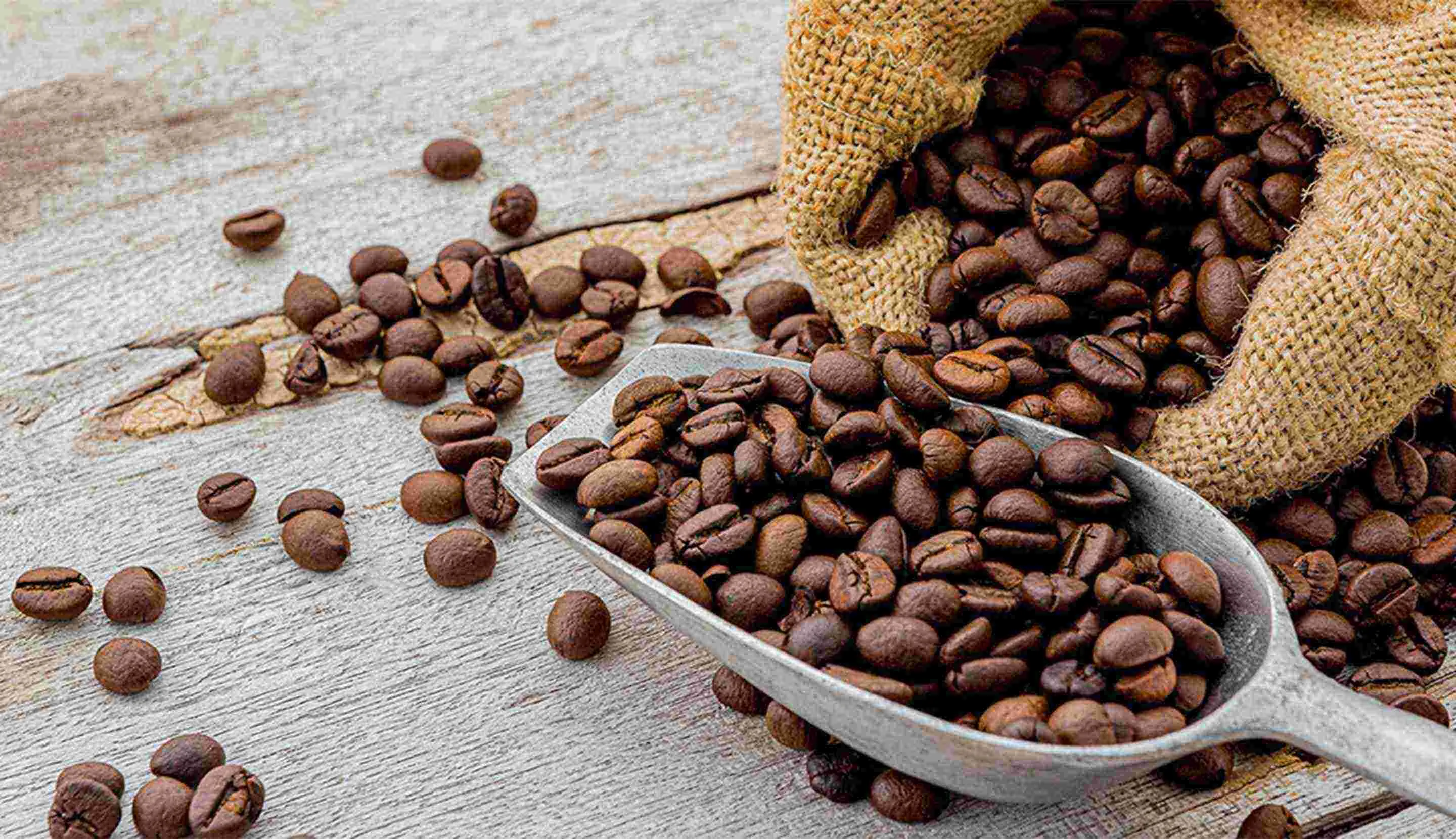 nuansa kopi